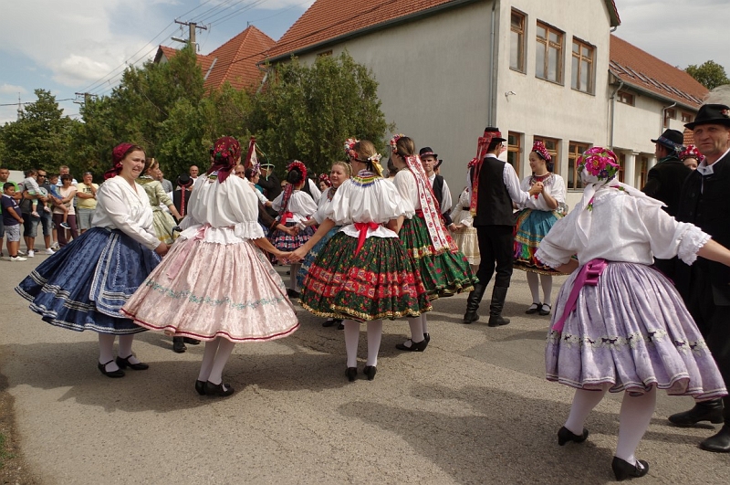 LEVI2575 (Medium).JPG
